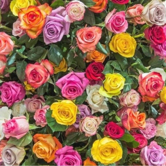 We R 4cuzins - Picture 3 of 11